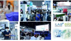 000名专业不雅不雅